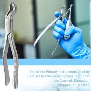 Vente chaude de qualité supérieure Instruments dentaires manuels Forceps d'extraction sur mesure Nouvelle arrivée - Product Image 4