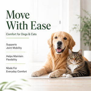 Vente en gros de comprimés à mâcher souples pour chiens, soutien des hanches et des articulations, glucosamine, chondroïtine, MSM, étiquette privée, service OEM unique, <span class=keywords><strong>prix</strong></span> en gros - Product Image 5
