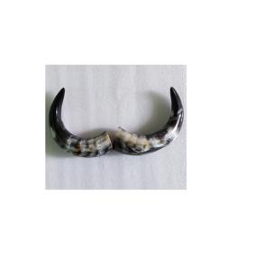 Buffalo Pair Horn Hot Selling Product Cow and Ox Pair Horn <b>for</b> <b>Home</b> and Parties Decorate Pair Horn Decor <b>for</b> Wholesale Product - Product Image 1