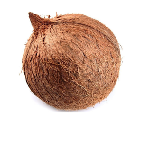 Noix de coco mûre à viande dense-Noix de coco mature pour la fabrication alimentaire-Parfait pour le stockage à long terme et l'utilisation en cuisine - Product Image 6