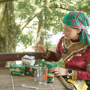 Bolsa de té de alcachofa al por mayor con muestra gratis, 1G x 20 bolsas de té en caja, uso diario, ayuda a la salud del hígado - Product Image 4