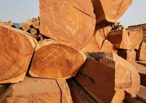 Troncos cuadrados de madera fresca Suelo de madera Doussie Materia prima KD/AD/S4S Categoría de producto - Product Image 5