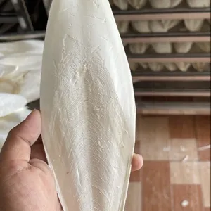 Melhor preço! Cortador natural seco osso peixe lula osso branco cortador osso osso do vietnã pássaro nutrição comida