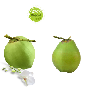 ผลิตภัณฑ์เพิ่มความชุ่มชื้นจากธรรมชาติมะพร้าวสดจากเวียดนามจากผลิตภัณฑ์ทางการเกษตร - Product Image 4