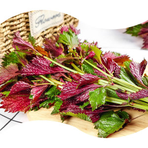 Fournisseur en gros d'arôme naturel de perilla de qualité alimentaire <span class=keywords><strong>pour</strong></span> additif alimentaire - Product Image 3