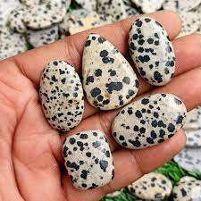 Cabujón de piedras preciosas sueltas de jaspe dálmata natural, venta al por mayor, lote de formas mixtas, fabricación de joyas naturales - Product Image 5