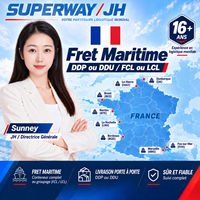 Expédition maritime DDP fiable de Chine vers la France - Transitaire Chine-France - Consolidation de fret - Top 10 des transitaires en Chine