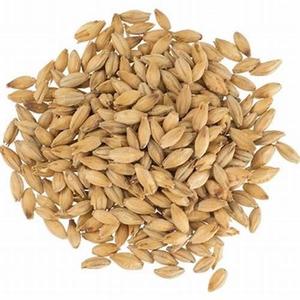 Meilleur aliment pour le grain d'orge/le grain de Malt d'orge/l'orge pelée prêt - Product Image 4