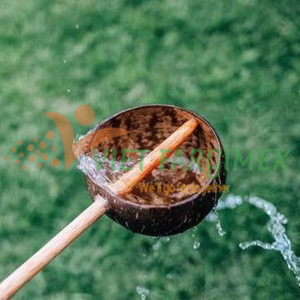 Cuchara de agua de coco-VIET FARGIMEX Producto de agua de coco de alta calidad - Product Image 4