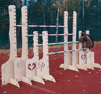 Obstacle d'entraînement d'agilité pour cheval à bascule réglable avec une hauteur de 75 à 110 cm pour la pratique du saut en extérieur