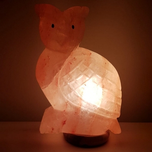 Lampada di Sale Rosa dell'Himalaya da 3kg con Design a Gufo Intagliato, Luce Calda, Base in Legno, Lampada da Tavolo 15W Prodotta in Pakistan - Product Image 1