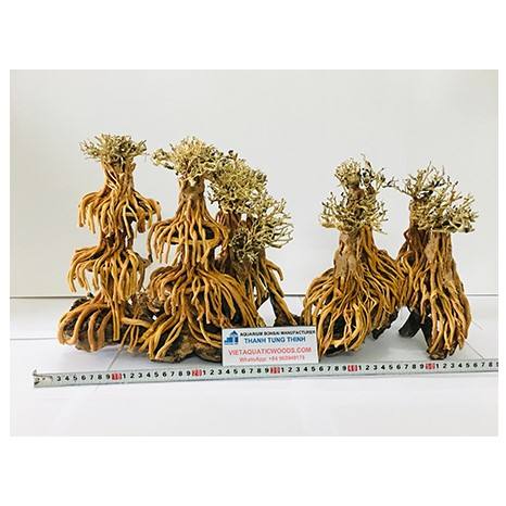 ธรรมชาติ