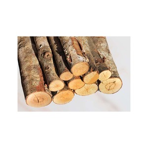Grumes rondes de qualité supérieure fournies en vrac pour les projets de meubles et de construction - Product Image 3