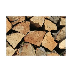 Bois de chauffage résineux abordable fourni pour les commandes en gros avec une livraison fiable - Product Image 4