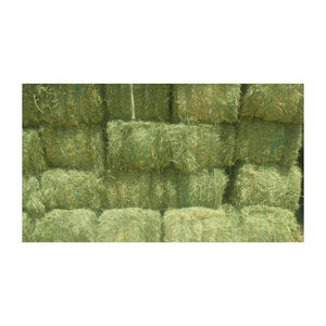 Factory price Rhodes <b>grass</b> hay high quality <b>dried</b> <b>grass</b> bales prepared for large volume shipment - Product Image 2