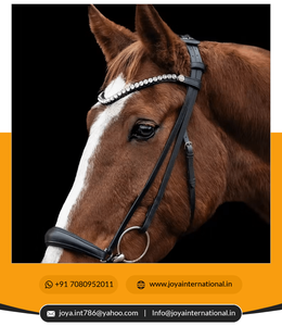 Bride de cheval en cuir indien de haute qualité multifonctionnelle Bride de cheval en cuir de meilleure qualité - Product Image 3