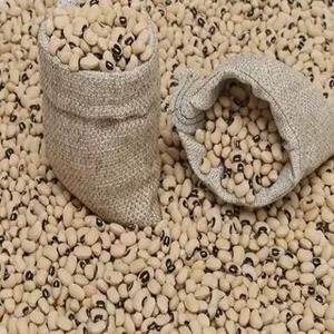 Legumbres enteras procesadas naturalmente de Black Eyed Peas con apariencia brillante, excelente densidad y estructura robusta. - Product Image 1
