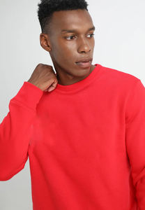 OEM Logo de broderie imprimé personnalisé Sweat-shirt 100% coton polaire épais pour hommes Sweat-shirt surdimensionné d'hiver unisexe - Product Image 4