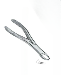 Zahnärztliche Zahnextraktionszange Fig.150 Manuell Premium-Qualität CE-Zertifiziert Individuelles Logo Edelstahl Zahnärztliche Instrumente - Product Image 4