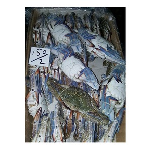 ปูทะเลแช่แข็งสดสำหรับส่งออกอาหารทะเล - Product Image 2