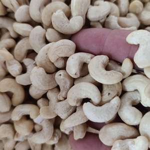 Noix de cajou séchées directement de l'usine Kaju Badam SANTIGO Noix de cajou W180 W240 W320 - Product Image 1