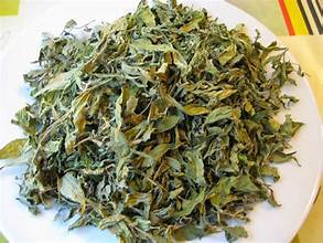 HOJAS DE GUAYUVA SECAS PARA APOYO INMUNE TÉ NATURAL ETIQUETA LIMPIA HIERBAS SANITARIAS A BASE DE PLANTAS - Product Image 3