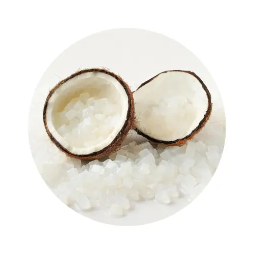 Jeli buah Nata De Coco Jelly asli kelapa untuk teh gelembung terkompresi NATA DE COCO tingkat 1:10 Harga terbaik dari VIETNAM