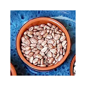 Non-High Grade Natural Bulk Pinto Red Beans from Dried Red Speckled Kidney Beans for Food cheap price best cool
