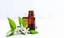 โรงงานผู้ผลิตน้ำมันเนโรลีบริสุทธิ์ 100% จากอินเดีย คุณภาพพรีเมียม ราคาประหยัด - Product Image 6