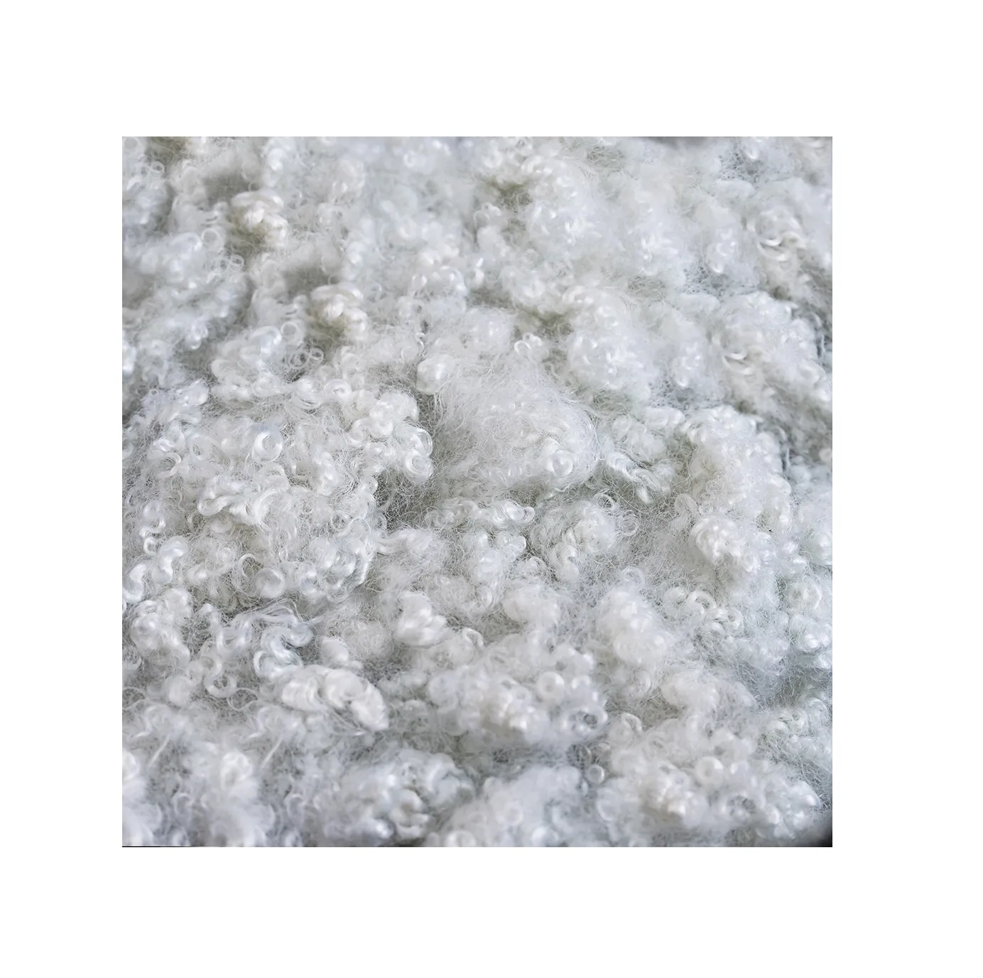 Factory supply Polyester Hollow Conjugated Siliconized Fiber 7D * 51mm HCS Polyester Fiber Pillow Filling Material Stuffing