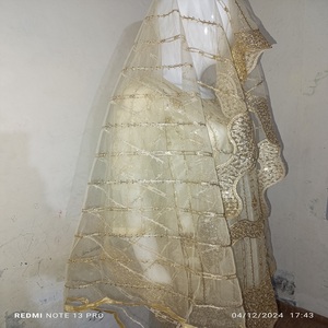 Lehenga Choli de Novia para Mujer, de Seda con Bordado Intenso, Vestido Largo para Fiesta, Diseño Étnico Moderno, Lavable, Temporada de Bodas Pakistaní - Product Image 4