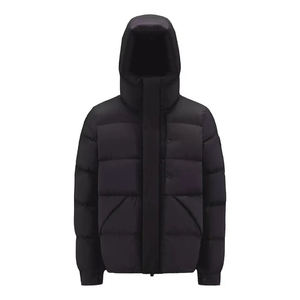 Veste surdimensionnée d'hiver de haute qualité pour hommes couleurs unies logo personnalisé épais imperméable à l'eau - Product Image 1