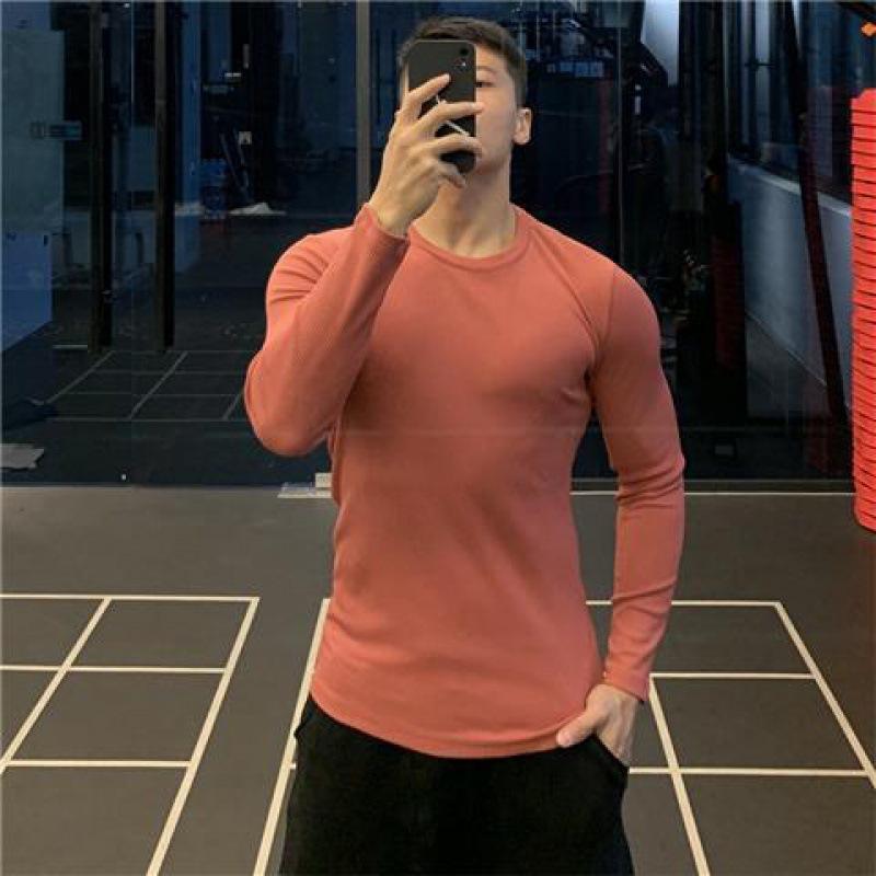 อิฐแดงคอกลม