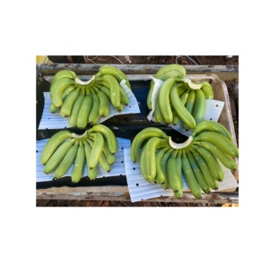 Banana Cavendish verde fresca al por mayor 4 5 6 racimos embalados en caja de cartón con logotipo personalizado producto de exportación agrícola Premium - Product Image 3
