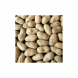 100% Nueces de tierra crudas tostadas de estilo orgánico seco Pure Bold Peanut Kernel-Precio de compra para cacahuetes Nueces de guisantes Cacahuetes tostados - Product Image 3