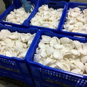 CARNE DE COCO SECA AL POR MAYOR RICA EN ACEITE Y FIBRA - Product Image 6