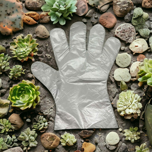 Gants de protection jetables en polyéthylène HDPE Greenworld en gros, certifiés CE, ultra-fins, personnalisables, pour usage estival - Product Image 4