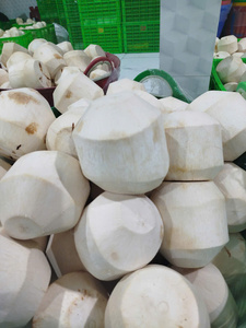 NOIX DE COCO QUI VENDENT, GOÛT TROPICAL, APPEL MONDIAL - Product Image 6