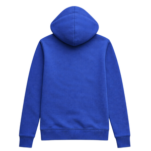 <b>Blue</b> Zeta Phi Beta Soror Pullover <b>Hoodie</b> 1920 Founders Inspired Greek Sorority Finer Womanhood Premium Cotton Apparel - Product Image 4