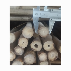 Natural Slats Tree Support Bamboo <b>Pole</b> Stick Cane Tonkin Treated Straight Bamboo Stakes Materials Bamboo <b>Garden</b> Stakes - Product Image 6