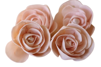 Sola Wood Flower diffuseur de roseau Parfum d'ambiance Fait à la main Sola Flower Echo Friendly Sola Flower Natural to aérer Freshen Reed