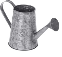 Arrosoir en métal de grande taille, finition cuivre antique, style vintage, pour la décoration de la maison et du jardin, utilisation extérieure, personnalisable MOON STAR