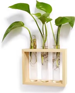 Wall Mounted Wooden Vase With Glass <b>Tube</b> High Quality Modern Look <b>Natural</b> Finishing Wooden Glass Vase Elegant for Tabletop Use - Product Image 1