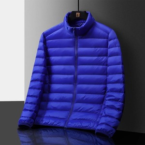 2025 taux de gros polyester fait Logo personnalisé surdimensionné léger résistant à l'eau à capuche hommes manteaux en duvet vestes bouffantes - Product Image 1