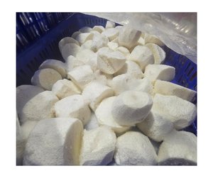 Taro congelado OEM proveedor vietnamita cubos a granel al por mayor IQF blanco pelado Taro tapioca bola exportación fábrica internacional - Product Image 1