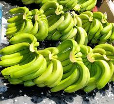 Plátanos frescos naturales y orgánicos de Vietnam: seguros, puros y saludables, perfectos para los mercados de exportación - Product Image 5