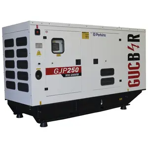 カスタマイズオプション付き250kVa200kWディーゼル発電機セットオルタネーターキャノピー単相三相50ヘルツ