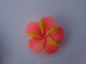 Bougies Fleurs Flottantes - Product Image 4