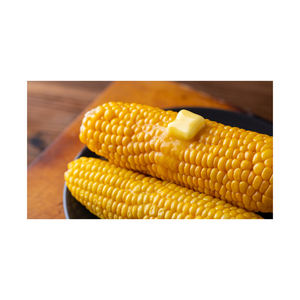 ข้าวโพดอบแห้งไม่ผ่านการบด/ข้าวโพดสีเหลืองสำหรับอาหารสัตว์ - Product Image 1