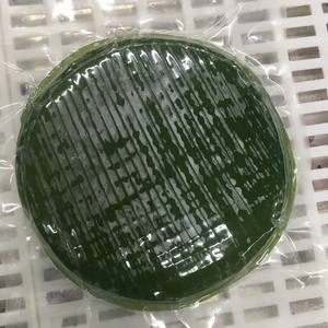 Hojas de Plátano Frescas de Color Verde Intenso sin Agujeros ni Daños, Calidad Consistente - Product Image 3